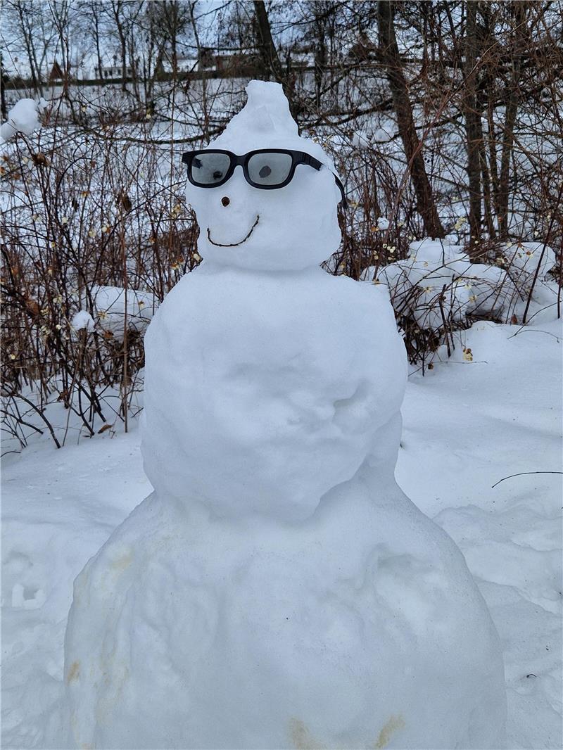 Viele im Landkreis Stade bastelten sich neue Mitbewohner.
