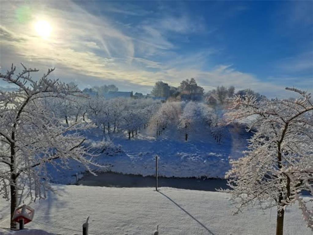 Vielen Dank an Bettina Treutler für dieses Bild der eingeschneiten Apfelplantage...