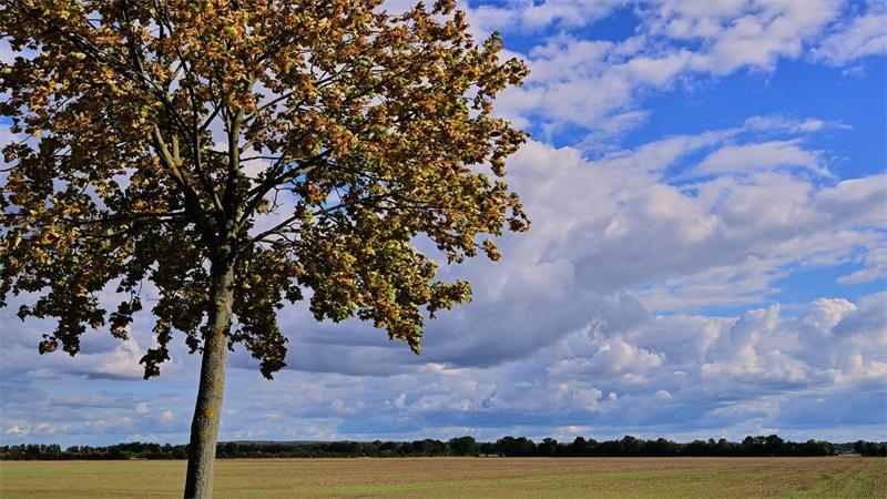 Vielen Menschen in Deutschland stehen sonnige Herbsttage bevor.