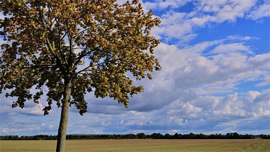 Vielen Menschen in Deutschland stehen sonnige Herbsttage bevor.