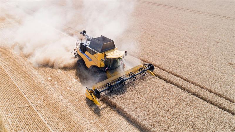 Vielerorts war es für die Landwirtschaft lange viel zu trocken. (Archivbild)