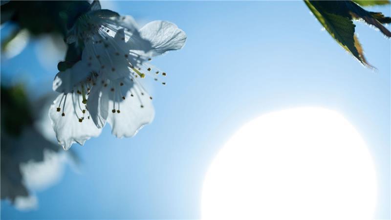 Sonne, Wolken und Schauer wechseln sich Ostermontag ab Vielerorts zeigt sich am Ostermontag auch immer wieder die Sonne.