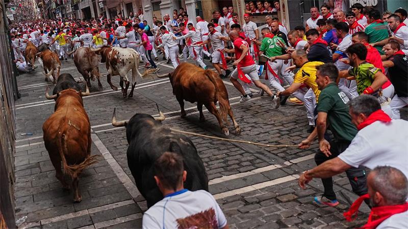 Vierter Stierlauf des San-Fermín-Festes: Teilnehmer laufen neben den Kampfstieren von Álvaro Núnez her.