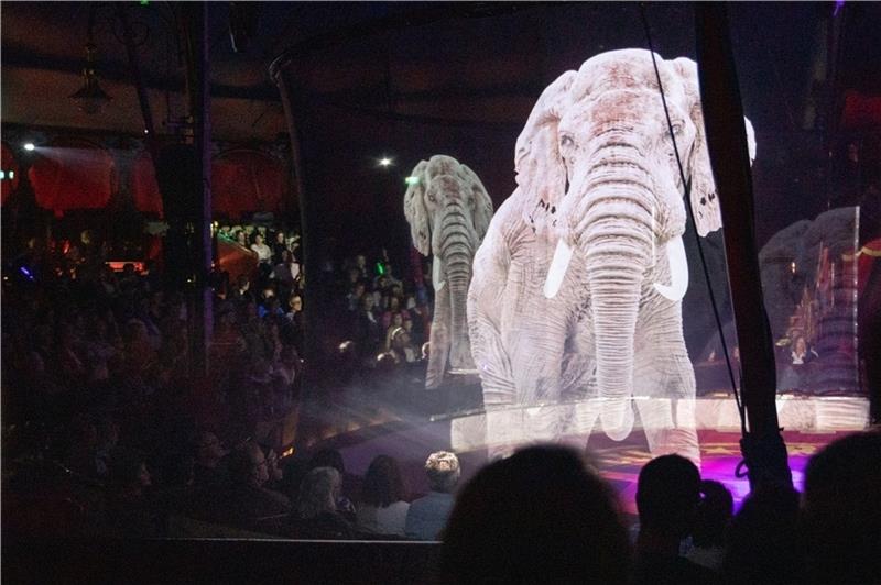Virtuelle Tiere werden mit Holographietechnik in die Manege von Circus Roncalli projiziert. Mit seinem neuen Programm „Storyteller – Gestern, Heute, Morgen“ verzichtet der Zirkus bewusst auf Tiere in der Manege. Foto: Charisius/dpa
