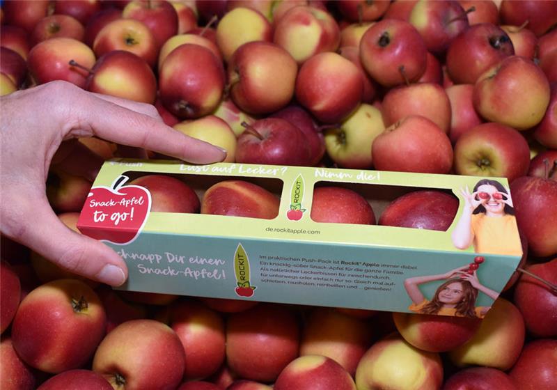 Vitamine für unterwegs: Der neue Mini-Apfel „Rockit“ soll jetzt in einer Verpackung aus Vollpappe vermarktet werden, Lebensmitteleinzelhandel und Test-Verbraucher lehnen die Plastikröhre ab. Fotos: Vasel