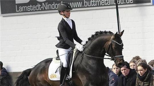 Vizebundeschampion Endorphin mit seiner Reiterin Greta Heemsoth. Foto Malmgren