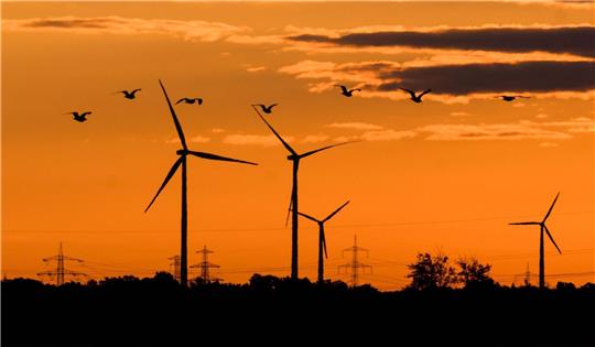 Vögel fliegen bei Sonnenaufgang vor Windkraftanlagen. Die Gemeinden Balje, Freiburg und Krummendeich wollen die Aufnahme von Windsonderflächen im Landschaftsschutzgebiet in das Regionale Raumordnungsprogramm (RROP) des Landkreises beantragen - und brechen so mit einem Tabu.