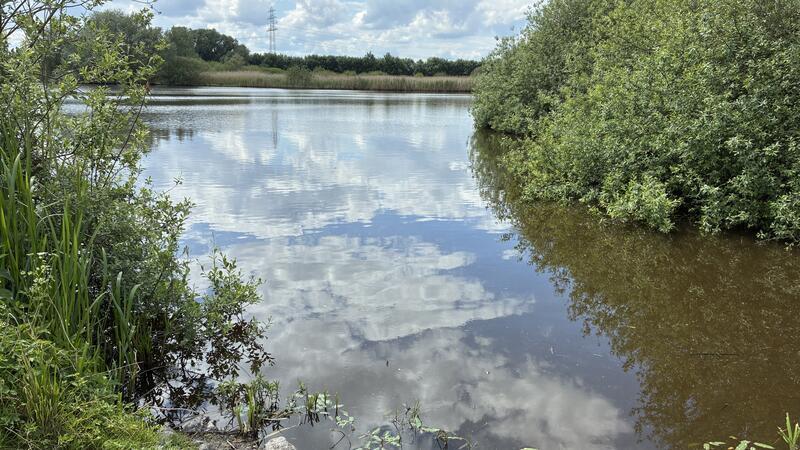 Hier sperrt der Deichverband illegale Angler aus Vogelfrei: Wildangler sind Naturschützern ein Dorn im Auge.