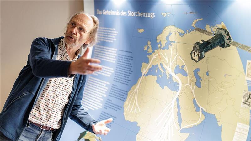 Vogelschützer Alfons Rolf Bense zeigt im Westfälischen Storchenmuseum eine Karte mit den Zugstrecken der Störche zu den Winterquartieren. Eine Hauptroute führt nach Westen über die Meerenge von Gibraltar nach Afrika. Viele dieser Westzieher fliegen aber gar nicht mehr so weit über das Mittelmeer. Die andere Hauptroute führt Richtung Osten über den Bosporus nach Afrika. 