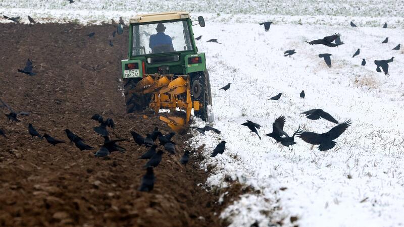 Bauern zwischen Gewinnplus und Abwärtstrend – Obstbau im Minus Vom Aufwärtstrend profitierten jüngst nicht alle Betriebsformen in der Landwirtschaft.