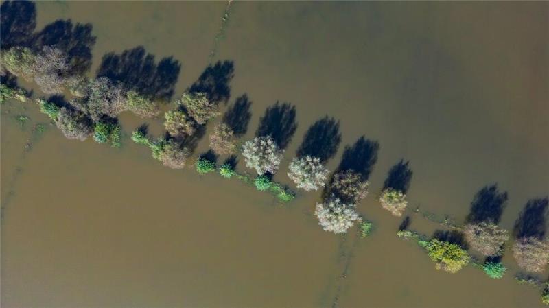 Klimakrise spitzt sich zu - Welche Rolle spielt Deutschland? Vom Hochwasser des Flusses Oder im September waren auch Wiesen vor der Stadt Frankfurt (Oder) überflutet. (Archivbild)