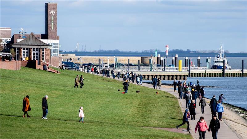 Vom Wilhelmshavener Südstrand aus kann man die Meeressäuger sichten. (Archivbild)