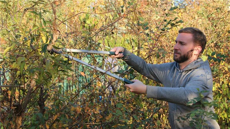 Von 1. März bis zum 30. September ist es gesetzlich nicht erlaubt, Hecken, lebende Zäune und Gebüsche abzuschneiden oder zu beseitigen.