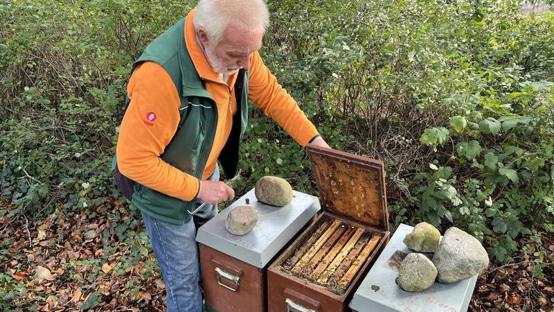 Von Dollern aus wandert Uwe Edeler mit seinen Bienenvölkern jährlich sogar bis nach Brandenburg.