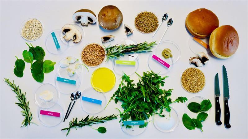 Von KI entworfene Zutaten für einen nachhaltigen und dabei leckeren Burger: unter anderem Zucht-Champignons, Rucola, Rosmarin, Körner und Gewürze.