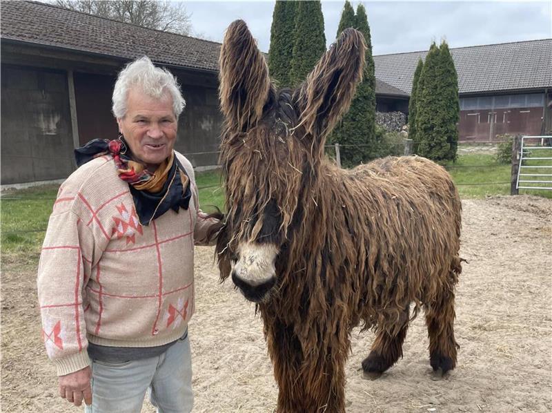 Nachfolger mit Herz gesucht: Gnadenhof „Pferdeoase“ steht vor dem Aus Von den Rieseneseln der Rasse Poitou gibt es weltweit nur noch knapp 500 Tiere.