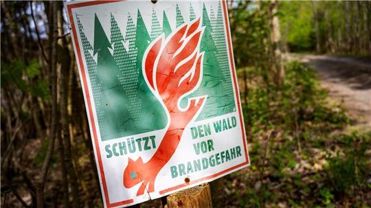 Von der Waldbrandgefahr in Norddeutschland ist besonders Mecklenburg-Vorpommern betroffen. (Archivbild)