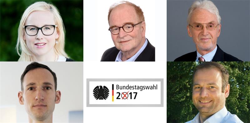 Von oben links nach unten rechts im Bild: Nadja Weippert (Grüne), Wolfgang Knobel (FDP), Joachim Kotteck (Die Linke), Roderik Pfreundschuh (AfD) und Timo Röntsch (Freie Wähler).