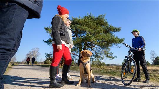 Vor allem Spaziergänger mit freilaufenden Hunden waren von den Betrügern angesprochen worden. (Symbolbild)