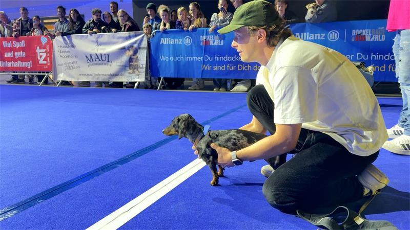 Dackelrennen in München: Der längste Name gewinnt Vor dem Rennen