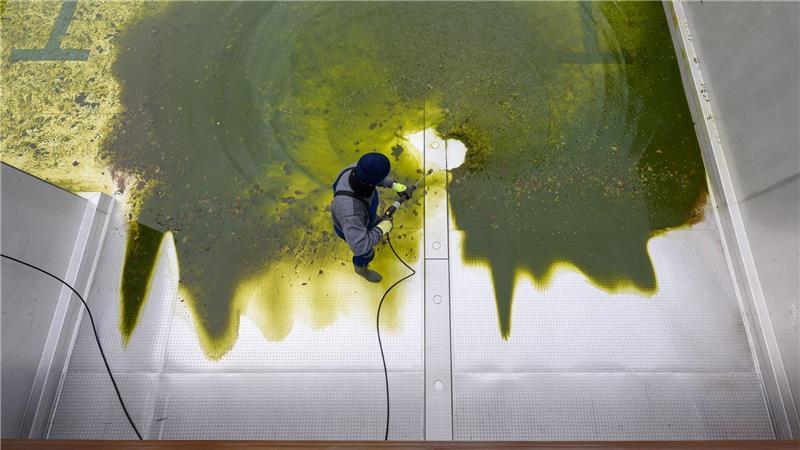 Vor dem Start in die Freibadsaison - Badebecken wird gereinigt