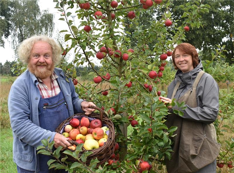 Vor dem „Tag der offenen Tür“ in Helmste: Eckart Brandt und Judith Bernhard ernten die Apfelsorte Alkmene im Boomgarden . Foto Vasel