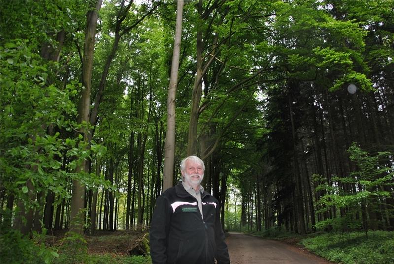 Vor den Heiligen Hallen der 150-jährigen Buchen: Förster Heiko Brunkhorst im Horneburger Wald. Foto: Lohmann