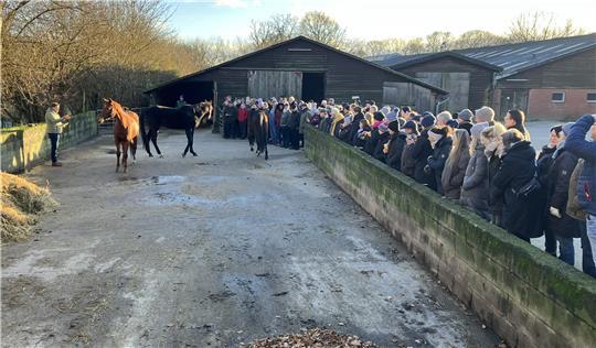 Vor der Versteigerung werden die vier Stuten den Besuchern auf Hof Ropers in Issendorf vorgeführt. Sie stammen aus einer Tierentnahme des Veterinäramtes.