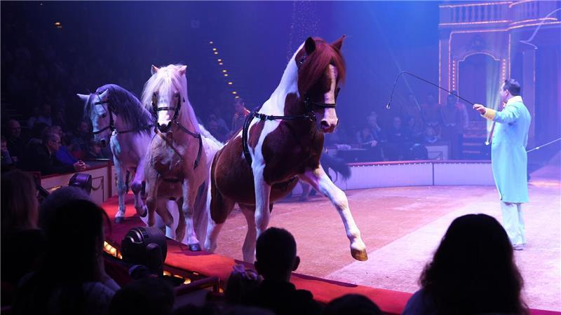 Traumwelt in der Manege - 50 Jahre Circus Roncalli Vor einigen Jahren hat Roncalli alle Tiere abgeschafft.