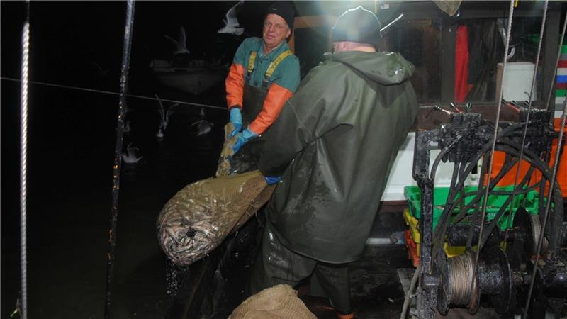 Vorbei: Seit dem Tod seines Decksmanns hat Lothar Buckow die Hamenfischerei mit seinem Kutter Elise aufgegeben.