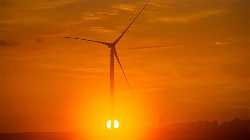 Schwarz-Gruppe baut Milliarden teures Rechenzentrum Vorhandene Windkraft war ein Standortfaktor für den Aufbau eines Rechenzentrums in Dummerstorf bei Rostock. (Archivbild)