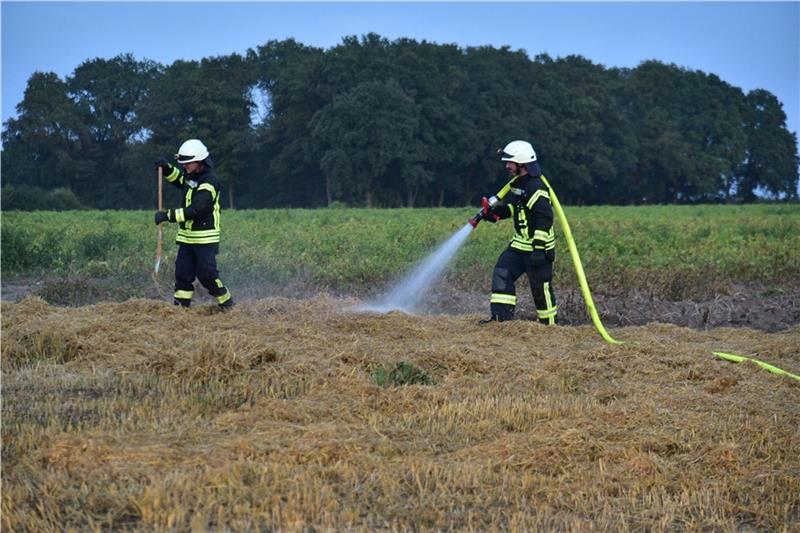 Vorsorglich wird das Feld gewässert, um einen Flächenbrand zu verhindern. Foto: Beneke