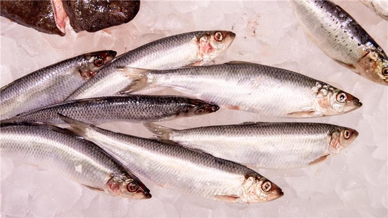 WWF-Marktcheck: Lediglich 27 Prozent der untersuchten Fischprodukte in deutschen Supermärkten schnitten als empfehlenswert ab. 