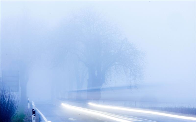 Wählen Autofahrer die falsche Beleuchtung bei Nebel, kann sich die Straße in eine weiße Wand verwandeln. Foto: Jens Büttner/dpa/dpa-tmn