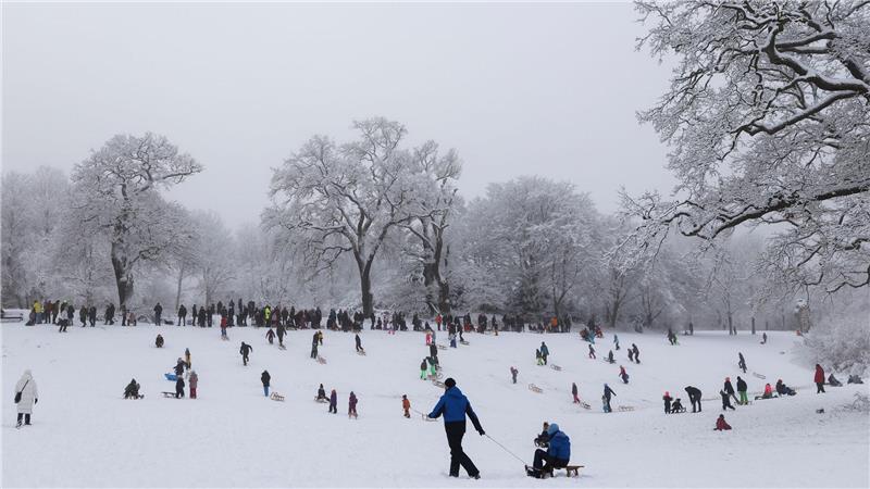 Winter hält Hamburg und Schleswig-Holstein fest im Griff Während Winterdienste und Rettungskräfte im Einsatz waren, genossen viele Menschen den Winter in Parks und Grünanlagen.