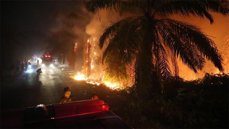 Junger Superman kämpft auf Borneo gegen Waldbrände Während der Trockenzeit brechen auf Borneo immer wieder verheerende Feuer aus.