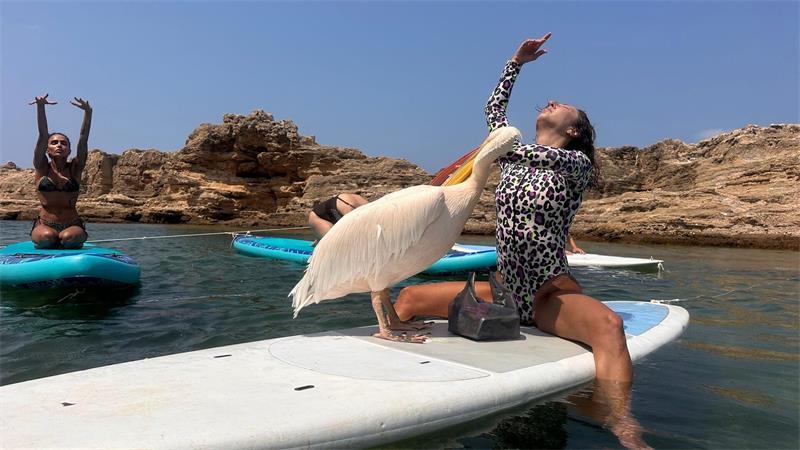 Strandgast mit Kultstatus: Libanons liebster Pelikan Während der Yoga-Stunde weicht „Pelikanchen“ nicht von der Seite von Lehrerin Alik Ohanian.