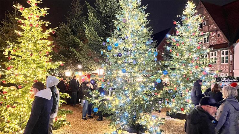 Während des Wintermärchens in Buxtehude entsteht auf dem Petri-Platz ein kleiner Wald aus festlich geschmückten Weihnachtsbäumen.