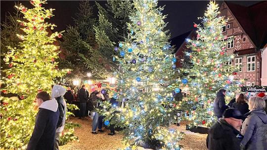 Während des Wintermärchens in Buxtehude entsteht auf dem Petri-Platz ein kleiner Wald aus festlich geschmückten Weihnachtsbäumen.