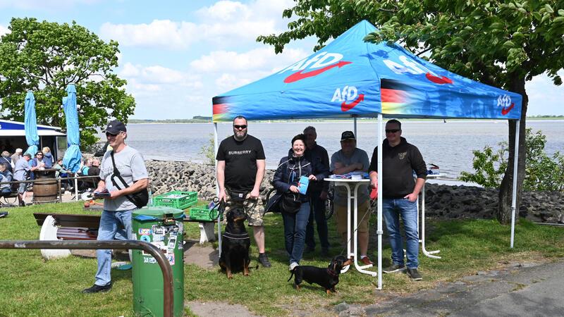 Omas gegen Rechts protestieren gegen AfD-Stand am Lühe-Anleger Wahlkampf am Lühe-Anleger: Die AfD durfte ihren Stand am Weg zum Ponton aufbauen.