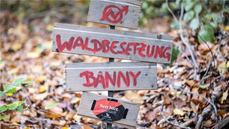 Waldbesetzung gegen Kiesabbau