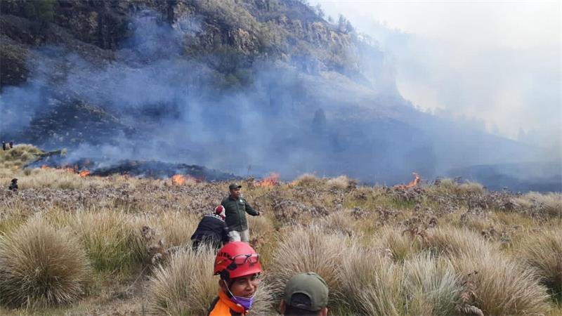 Waldbrand am Vulkan Bromo: Sperrungen für Touristen Waldbrände am Bromo sind in Dürrezeiten keine Seltenheit.