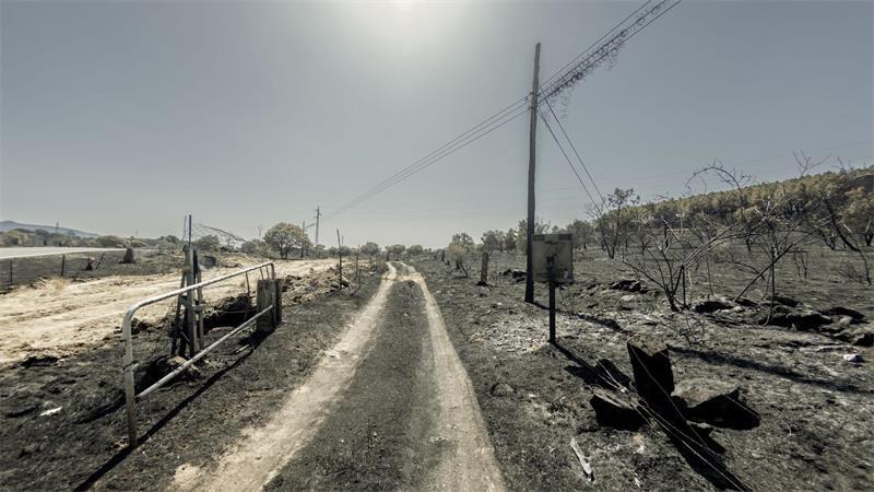 Waldbrände haben in Spanien in diesem Jahr bereits riesige Flächen zerstört (Archivbild).