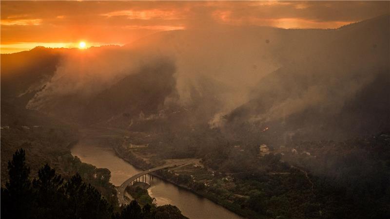 Waldbrände verursachen hohe Kohlenstoff-Emissionen. (Archivbild)