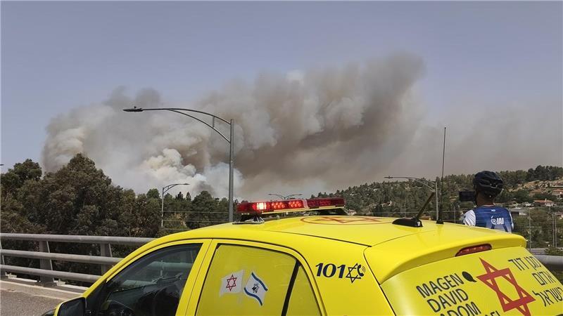 Waldbrände wüten bei Jerusalem. 