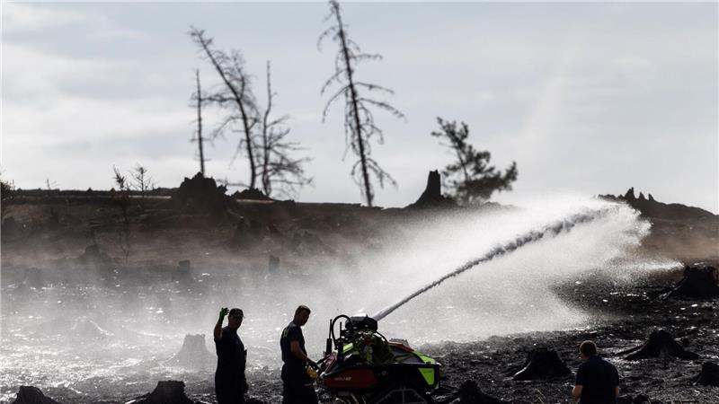 Bilder des Tages Waldbrand bei Saalfeld: Feuerwehr kämpft gegen Glutnester