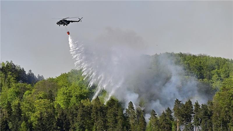Feuerwehren kämpfen gegen etliche Waldbrände Waldbrand im Nationalpark Böhmische Schweiz: Löschhubschrauber sind im Einsatz