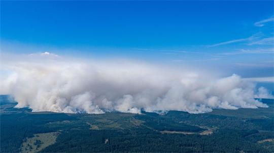 Waldbrand in Belgien: Gigantische Rauchwand über dem Hohen Venn
