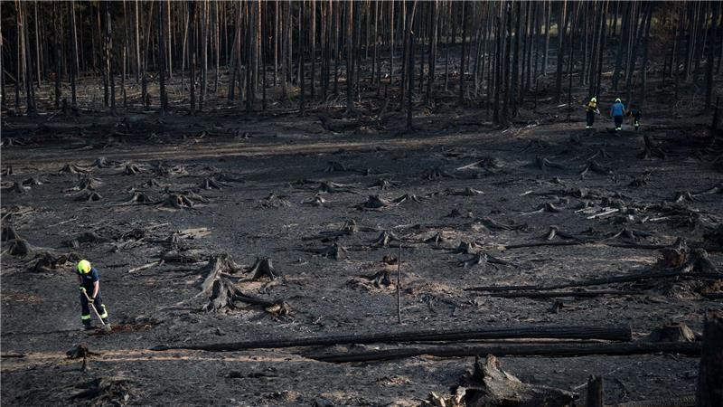 Bilder des Tages Waldbrand in Thüringen: Feuerwehr löscht Glutnester auf Saalfelder Höhe