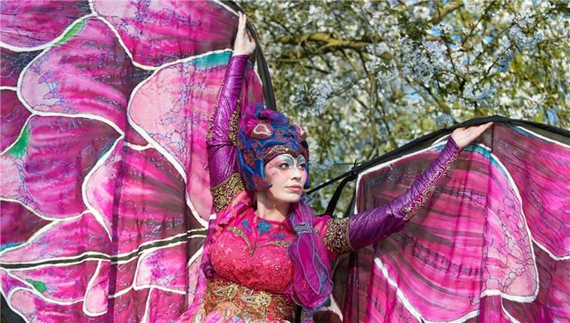 Buxtehuder Altstadtfest: Das ist neu auf der beliebten Partymeile Walking Acts sorgen für besondere Hingucker: Dieses Mal flattern Schmetterlinge durch die Altstadt.
